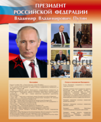 стенд верховный главнокомандующий путин