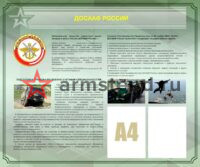 ДОССАФ РФ 120х100см